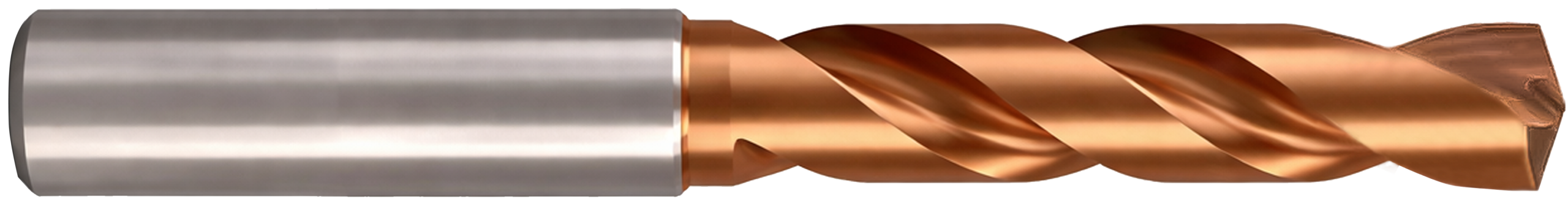 Rapidx Model Tool